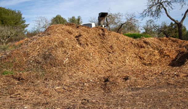Desbroces para biomasa como fuente de energía en Ibiza
