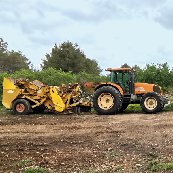 despedregadora ibiza