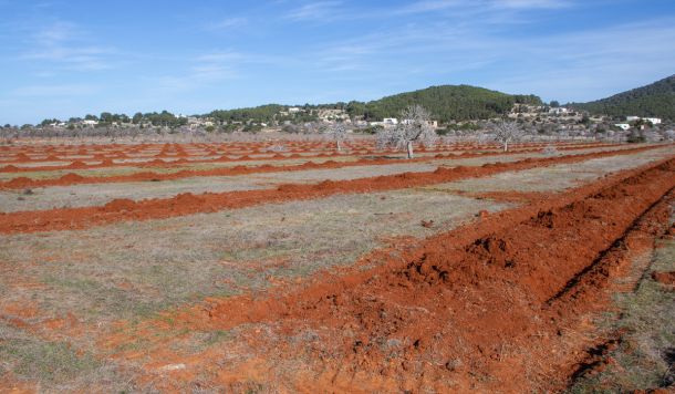Labranza y preparación de suelos para siembra en Ibiza